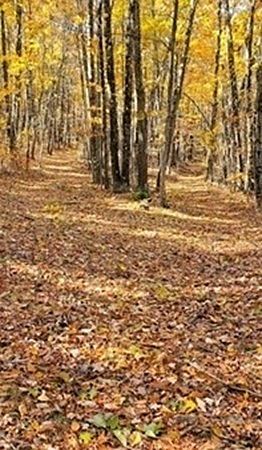 2nd image of 57-81 Purgatory Rd