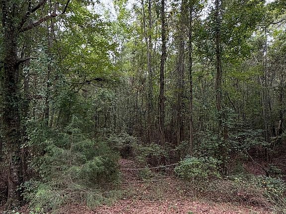 3rd image of 0 County Road 44 Rd