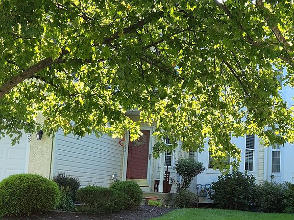 3rd image of 253 Avonwood Rd