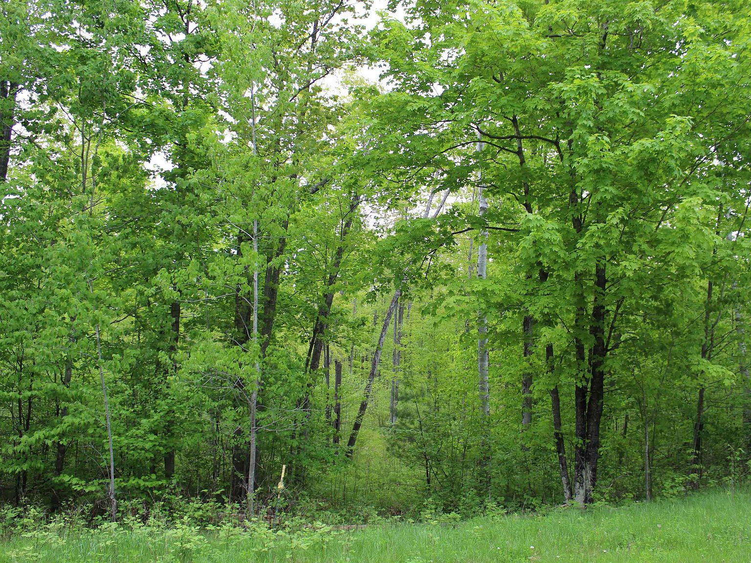 Menominee Woods Dr 56/57, Wausaukee, WI 54177 Zillow