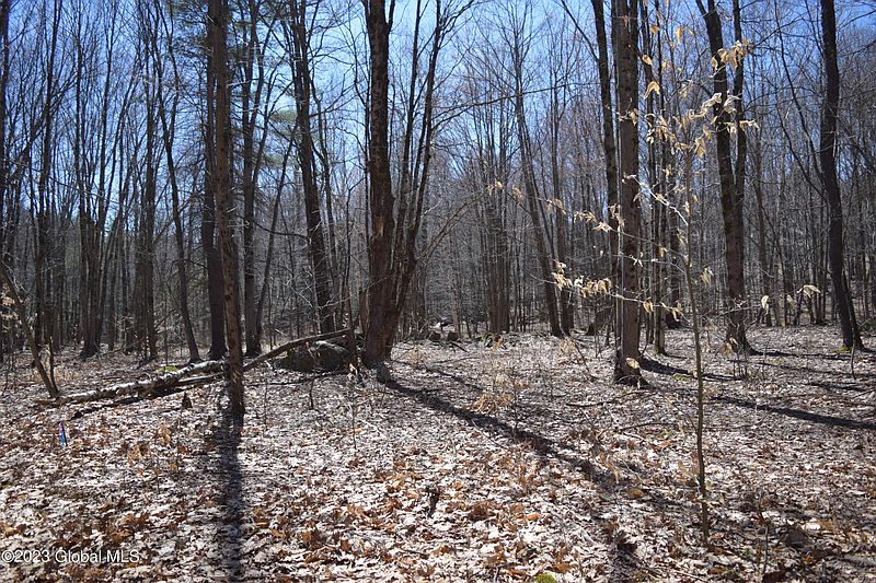 3rd image of L5.2 Babcock Lake Road