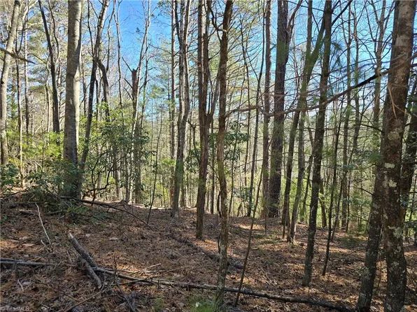 Tbd Timber Ridge Rd, Millers Creek, NC 28651