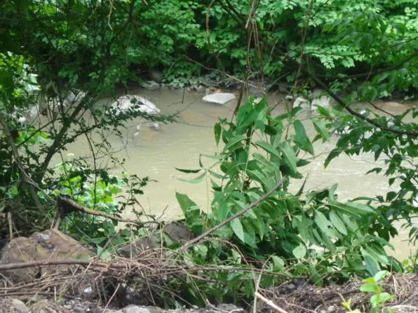 0 Yukon River Rd, War, WV 24892