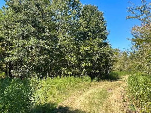 8881 Fm 356, Trinity, TX 75862