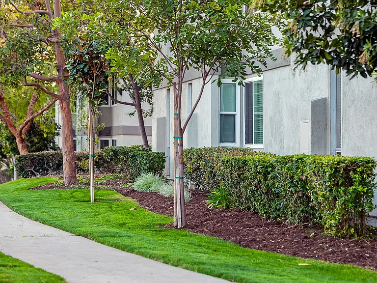 Summerwood Apartment Homes — Photo 35