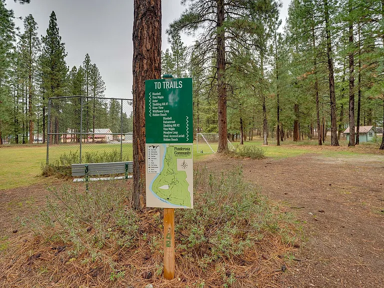 22407 Shetland Rd #ID1546342P — Photo 24