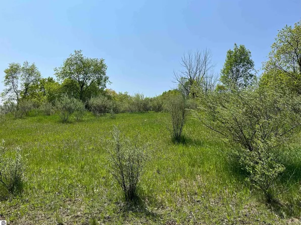 LOT 45 Floreys Ranch Rd, Grawn, MI 49637