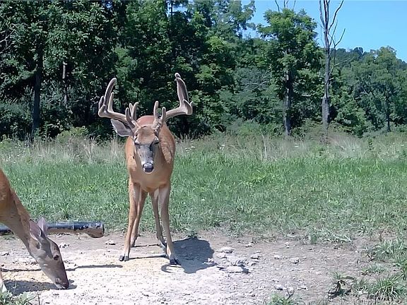 3rd image of 69800 Skullfork Rd