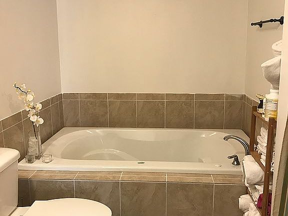 Master bathroom jetted tub