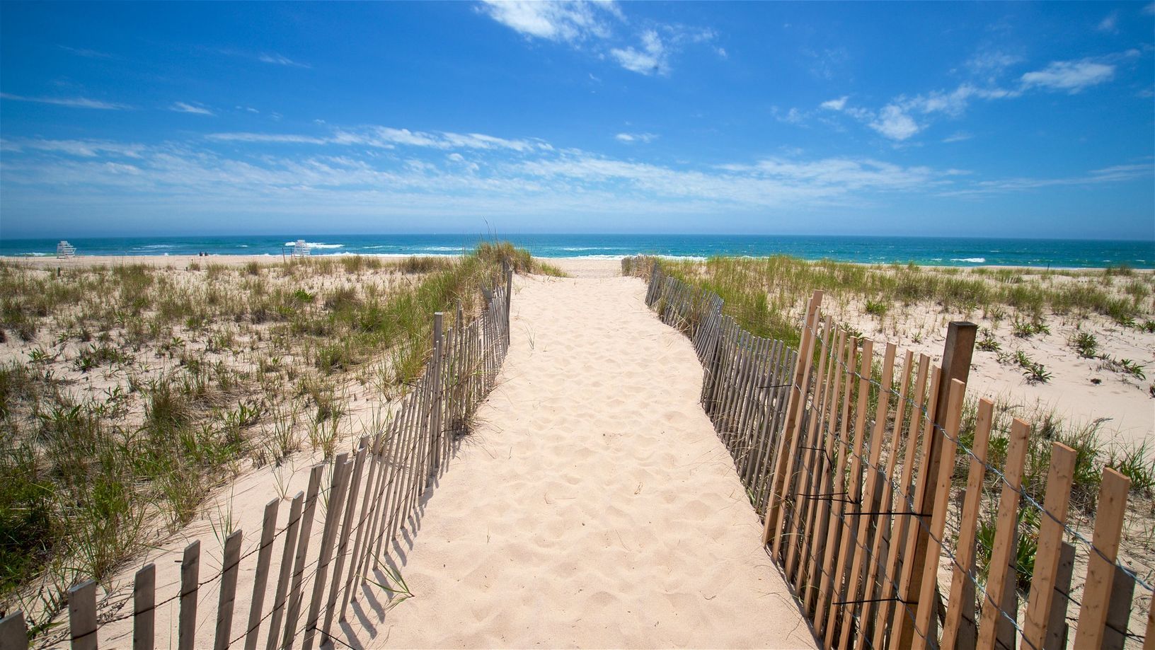  3 Miles to Ocean Beach!