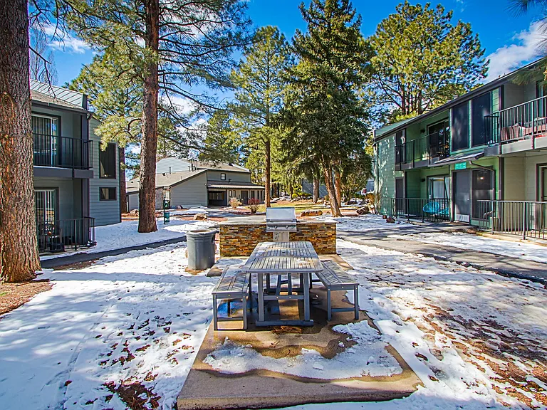 Legacy Pines — Photo 15