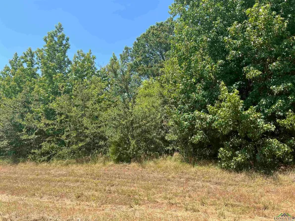 Tbd Fm 3042, Pittsburg, TX 75686