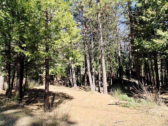 3rd image of 2159 Sierra Pkwy #8