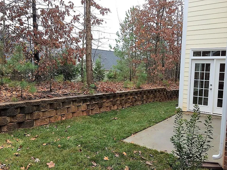 Backyard lot view