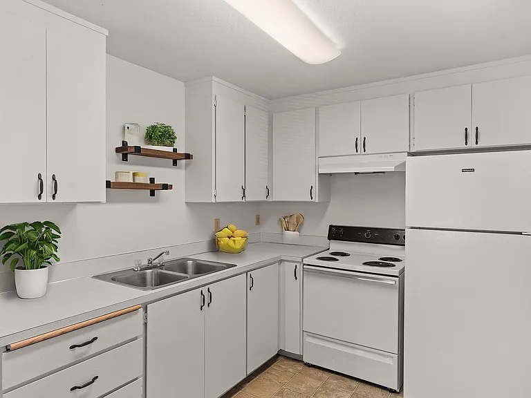 Experience culinary delight in this sleek and modern kitchen space.