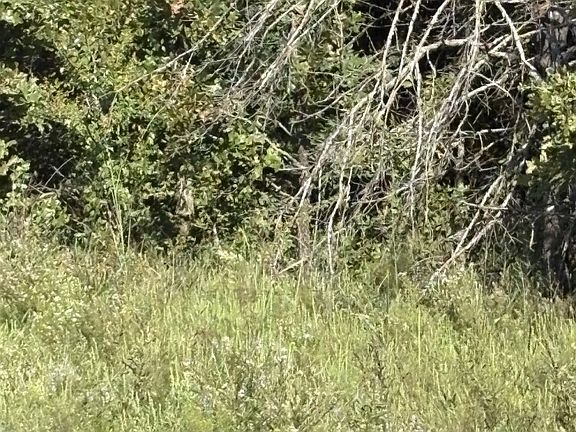 4th image of 0 E 1044th Rd