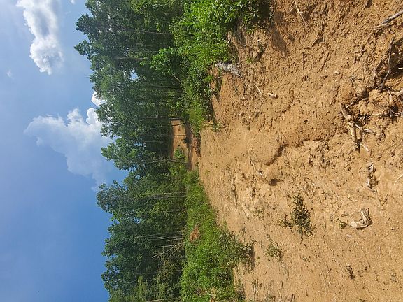 Image 2: 20210811_154804