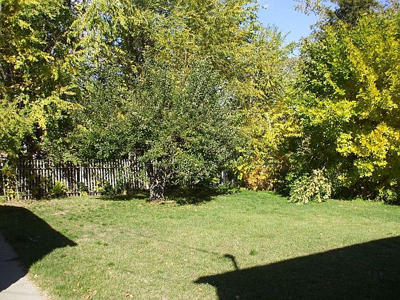 Backyard with Apple Tree