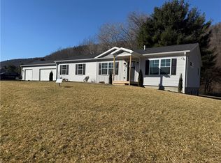 115 Patchen Ct, Spencer, NY 14883