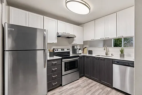 Vibe Apartments Photo 1