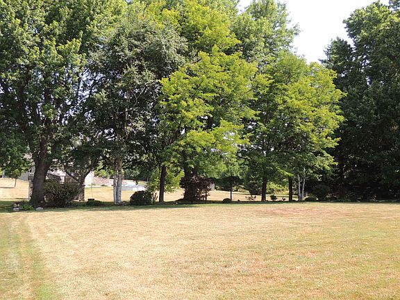 Back yard view
