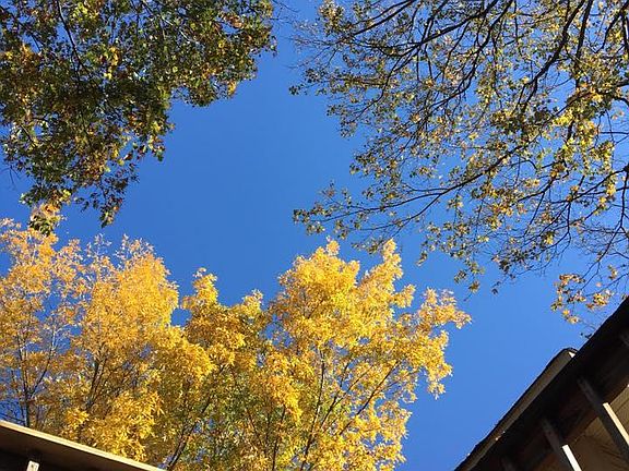 Beautiful views from the back deck