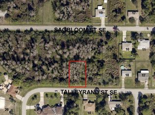 1333 Talleyrand St SE, Palm Bay, FL 32909