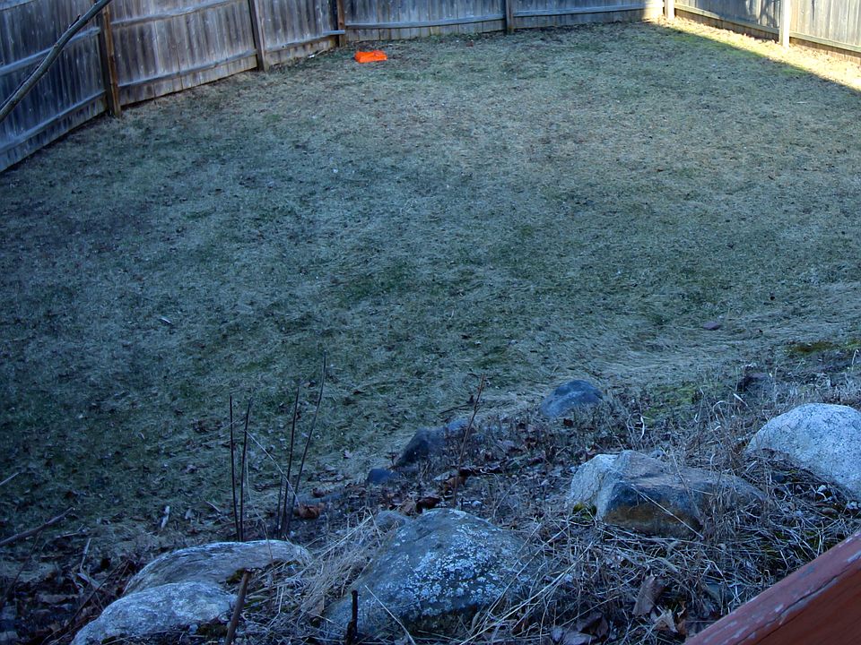 1st image of 14 Celia Dr