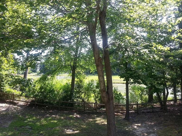 Back Yard looking at Water