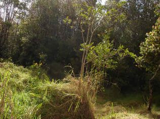 9th St, Volcano, HI 96785