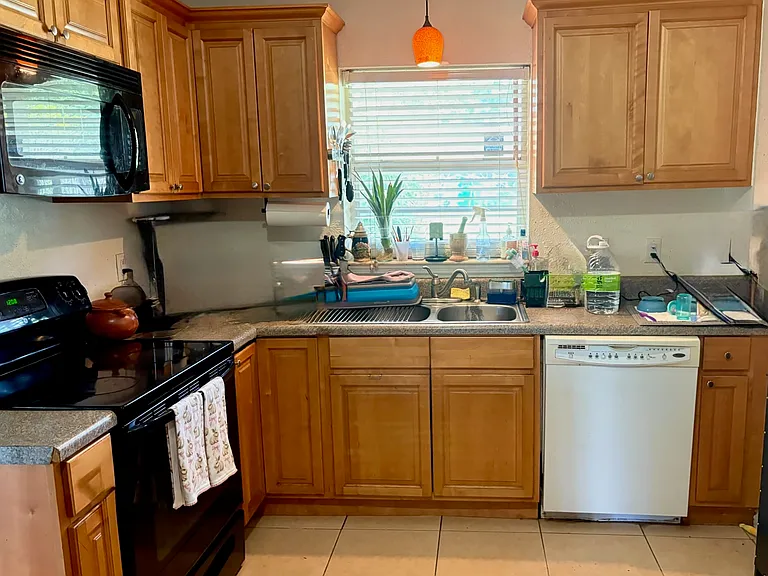 Dishwasher, Oven Microwave and Sink