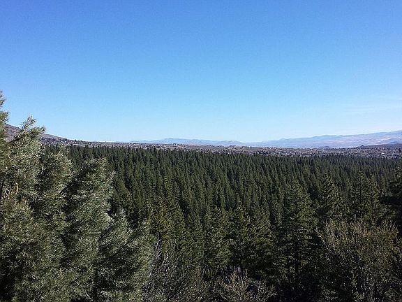 View From Top Looking North