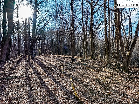 5th image of TBD Little Tree Lane