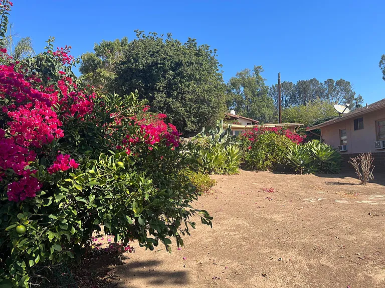 3130 Las Palmas Ave — Photo 11