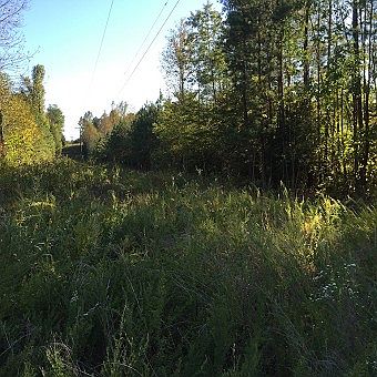 2nd image of 1101 Pearidge Rd