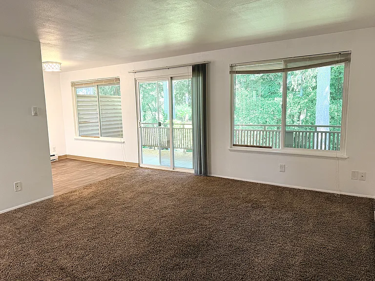 Beautiful view from the kitchen, living room and dining room.