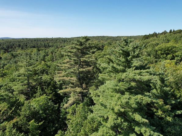 Lot 53 Robb Hill Road, Alexander, ME 04694