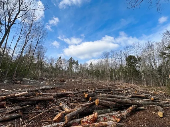 Lot 14 NorthEast Pond Road, Milton, NH 03851