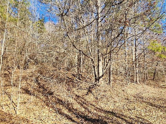 2nd image of 319 Shannandoah Dr