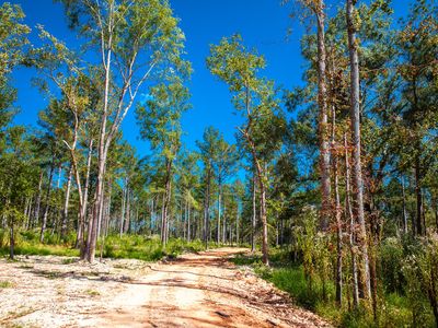 575 Rabbit Pen Drive, Appling, GA, 30802