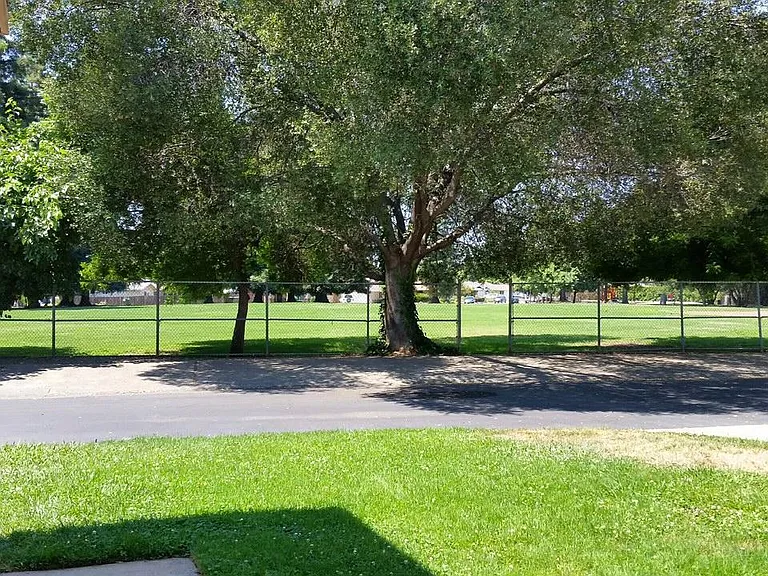 Park Across the Street