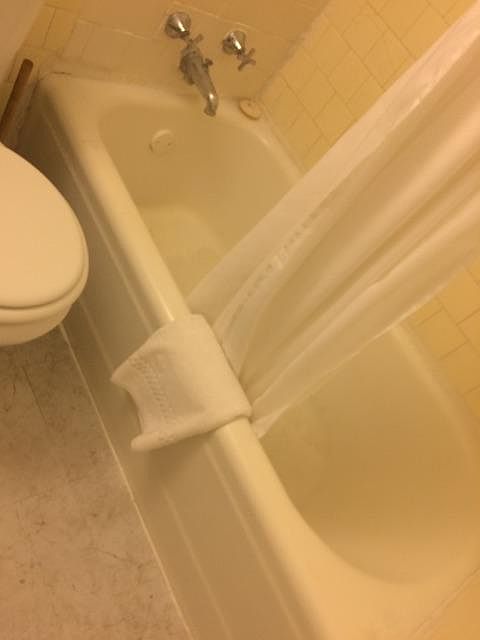 1st image of 1624 Holman St APT 02