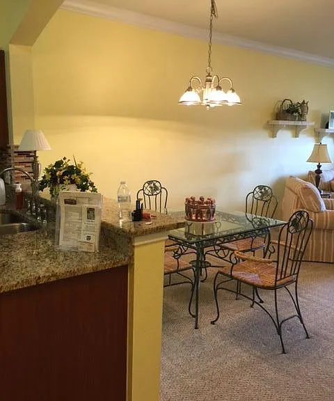2254 Chianti Place At Tuscany At Innisbrook 64 #64 — Photo 11