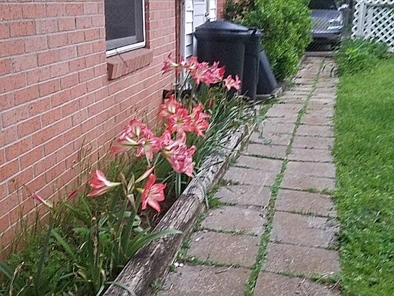 4th image of 107 Bellview Dr