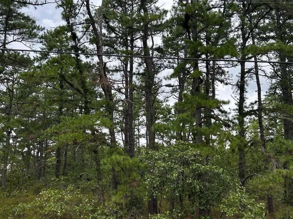 0 Savoy Blvd, Chatsworth, NJ 08019