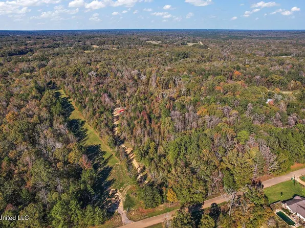 4700 Neil Collins Rd, Raymond, MS 39154