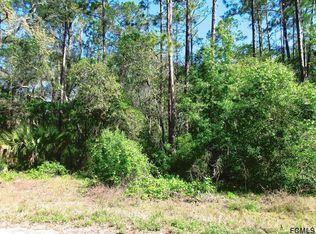166 Falcon Fire Pl, Bunnell, FL 32110