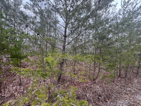 0 Maple St, Pikeville, TN 37367