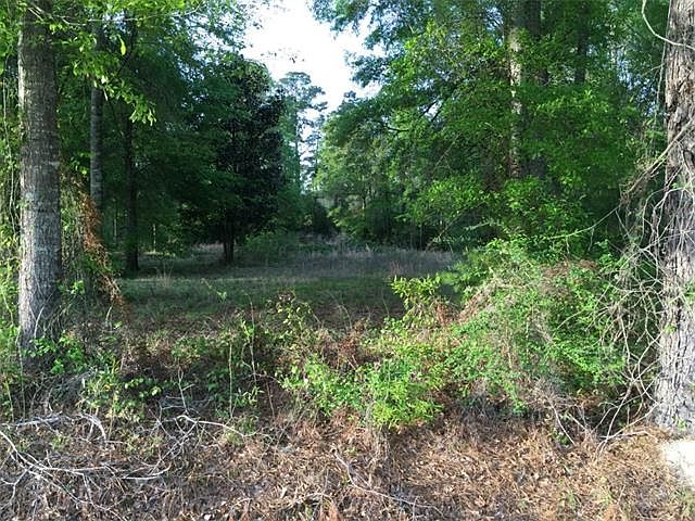 2nd image of 17325 J B Averett Rd
