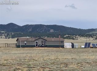 463 Snowshoe Ln, Lake George, CO 80827